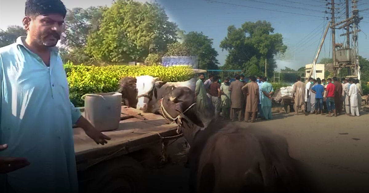ربوہ: سلاٹر ہاوس کا ڈاکٹر قصابوں سے رشوت لینے سے باز نہ آیا،اقصیٰ چوک میں قصابوں کا احتجاج
