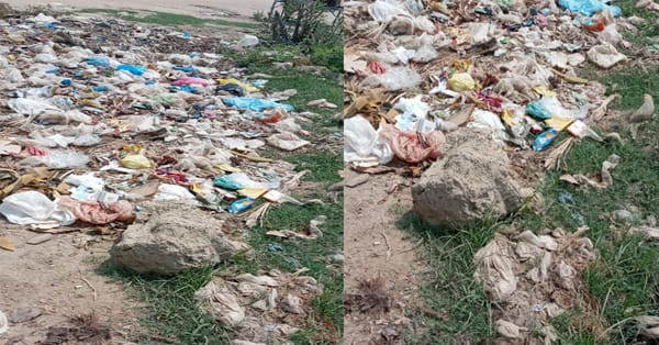 چناب نگر شہر میں جگہ جگہ گندگی غلاظت کے ڈھیر