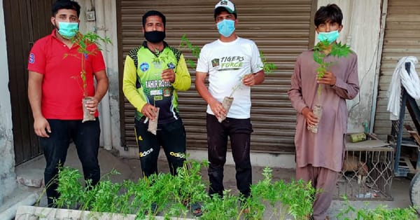 چناب نگر میں ٹائیگر فورس گرین پاکستان کو عملی جامہ پہنا تے ہو ئے