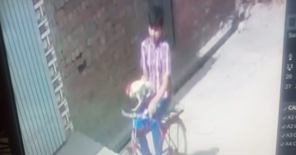 ربوہ: محلہ ناصر آباد سے مرغا چوری کرنے والے کی سی سی ٹی وی فوٹیج