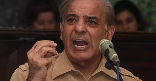 نیب نے کرپشن کیس میں پاکستان ملسم لیگ ن کے صدر اور سابق وزیر اعلیٰ پنجاب شہبازشریف کو گرفتار کرلیا