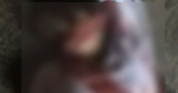 چنیوٹ میں پچیس سالہ لڑکی پسند کی شادی کرنے پر قتل